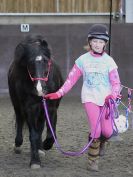 Image 18 in AGILITY AT WHW. ALSO PICTURES FROM THE PADDOCKS. 21 FEB 2016.