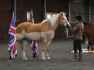 Image 19 in AGILITY AT WHW. ALSO PICTURES FROM THE PADDOCKS. 21 FEB 2016.
