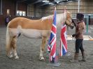Image 22 in AGILITY AT WHW. ALSO PICTURES FROM THE PADDOCKS. 21 FEB 2016.