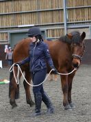 Image 23 in AGILITY AT WHW. ALSO PICTURES FROM THE PADDOCKS. 21 FEB 2016.