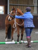 Image 24 in AGILITY AT WHW. ALSO PICTURES FROM THE PADDOCKS. 21 FEB 2016.