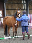 Image 26 in AGILITY AT WHW. ALSO PICTURES FROM THE PADDOCKS. 21 FEB 2016.