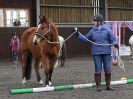 Image 27 in AGILITY AT WHW. ALSO PICTURES FROM THE PADDOCKS. 21 FEB 2016.