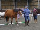 Image 28 in AGILITY AT WHW. ALSO PICTURES FROM THE PADDOCKS. 21 FEB 2016.