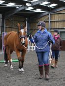 Image 29 in AGILITY AT WHW. ALSO PICTURES FROM THE PADDOCKS. 21 FEB 2016.