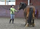 Image 34 in AGILITY AT WHW. ALSO PICTURES FROM THE PADDOCKS. 21 FEB 2016.
