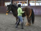 Image 35 in AGILITY AT WHW. ALSO PICTURES FROM THE PADDOCKS. 21 FEB 2016.
