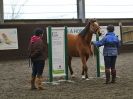 Image 38 in AGILITY AT WHW. ALSO PICTURES FROM THE PADDOCKS. 21 FEB 2016.