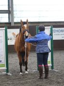 Image 39 in AGILITY AT WHW. ALSO PICTURES FROM THE PADDOCKS. 21 FEB 2016.
