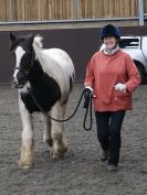 Image 40 in AGILITY AT WHW. ALSO PICTURES FROM THE PADDOCKS. 21 FEB 2016.