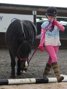Image 44 in AGILITY AT WHW. ALSO PICTURES FROM THE PADDOCKS. 21 FEB 2016.