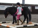 Image 47 in AGILITY AT WHW. ALSO PICTURES FROM THE PADDOCKS. 21 FEB 2016.