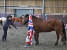 Image 48 in AGILITY AT WHW. ALSO PICTURES FROM THE PADDOCKS. 21 FEB 2016.