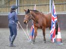 Image 50 in AGILITY AT WHW. ALSO PICTURES FROM THE PADDOCKS. 21 FEB 2016.