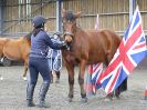 Image 53 in AGILITY AT WHW. ALSO PICTURES FROM THE PADDOCKS. 21 FEB 2016.