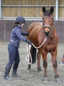 Image 55 in AGILITY AT WHW. ALSO PICTURES FROM THE PADDOCKS. 21 FEB 2016.