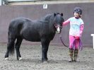 Image 62 in AGILITY AT WHW. ALSO PICTURES FROM THE PADDOCKS. 21 FEB 2016.
