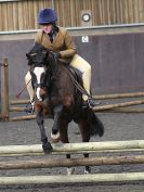 Image 120 in BFPS AREA 16. WINTER SHOW AT SNETTERTON. 27 FEB 2016.