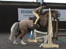 Image 130 in BFPS AREA 16. WINTER SHOW AT SNETTERTON. 27 FEB 2016.