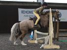 Image 130 in BFPS AREA 16. WINTER SHOW AT SNETTERTON.  27 FEB 2016.