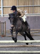 Image 134 in BFPS AREA 16. WINTER SHOW AT SNETTERTON.  27 FEB 2016.