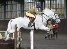 Image 148 in BFPS AREA 16. WINTER SHOW AT SNETTERTON. 27 FEB 2016.