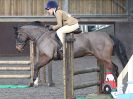 Image 172 in BFPS AREA 16. WINTER SHOW AT SNETTERTON. 27 FEB 2016.