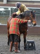 Image 240 in BFPS AREA 16. WINTER SHOW AT SNETTERTON. 27 FEB 2016.