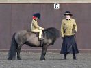Image 43 in BFPS AREA 16. WINTER SHOW AT SNETTERTON. 27 FEB 2016.