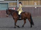Image 91 in BFPS AREA 16. WINTER SHOW AT SNETTERTON. 27 FEB 2016.