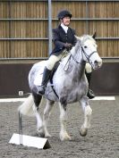 Image 10 in DRESSAGE AT WORLD HORSE WELFARE. 5 MARCH 2016