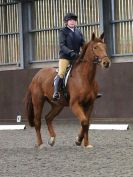 Image 14 in DRESSAGE AT WORLD HORSE WELFARE. 5 MARCH 2016