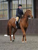 Image 16 in DRESSAGE AT WORLD HORSE WELFARE. 5 MARCH 2016
