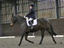 Image 26 in DRESSAGE AT WORLD HORSE WELFARE. 5 MARCH 2016
