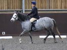Image 4 in DRESSAGE AT WORLD HORSE WELFARE. 5 MARCH 2016