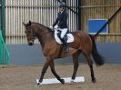 Image 142 in BECCLES AND BUNGAY  RC. DRESSAGE. 13 MARCH 2016.