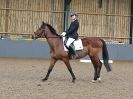 Image 197 in BECCLES AND BUNGAY  RC. DRESSAGE. 13 MARCH 2016.
