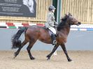 Image 218 in BECCLES AND BUNGAY  RC. DRESSAGE. 13 MARCH 2016.