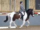 Image 233 in BECCLES AND BUNGAY  RC. DRESSAGE. 13 MARCH 2016.