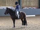 Image 25 in BECCLES AND BUNGAY RC. DRESSAGE. 13 MARCH 2016.