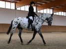 Image 13 in DRESSAGE. EASTON PARK STUD. OPTIMUM EVENT MANAGEMENT. 20 MARCH 2016