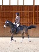 Image 154 in DRESSAGE. EASTON PARK STUD. OPTIMUM EVENT MANAGEMENT. 20 MARCH 2016