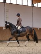 Image 156 in DRESSAGE. EASTON PARK STUD. OPTIMUM EVENT MANAGEMENT. 20 MARCH 2016