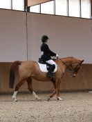 Image 166 in DRESSAGE. EASTON PARK STUD. OPTIMUM EVENT MANAGEMENT. 20 MARCH 2016