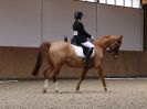 Image 167 in DRESSAGE. EASTON PARK STUD. OPTIMUM EVENT MANAGEMENT. 20 MARCH 2016