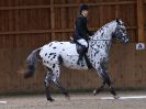 Image 17 in DRESSAGE. EASTON PARK STUD. OPTIMUM EVENT MANAGEMENT. 20 MARCH 2016