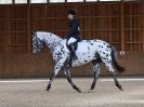 Image 18 in DRESSAGE. EASTON PARK STUD. OPTIMUM EVENT MANAGEMENT. 20 MARCH 2016