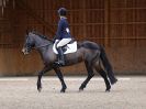 Image 22 in DRESSAGE. EASTON PARK STUD. OPTIMUM EVENT MANAGEMENT. 20 MARCH 2016