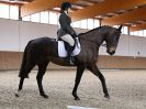 Image 40 in DRESSAGE. EASTON PARK STUD. OPTIMUM EVENT MANAGEMENT. 20 MARCH 2016