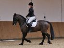 Image 51 in DRESSAGE. EASTON PARK STUD. OPTIMUM EVENT MANAGEMENT. 20 MARCH 2016